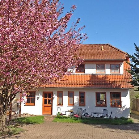 Landpension Zum Kleinen Urlaub Wredenhagen Номер фото