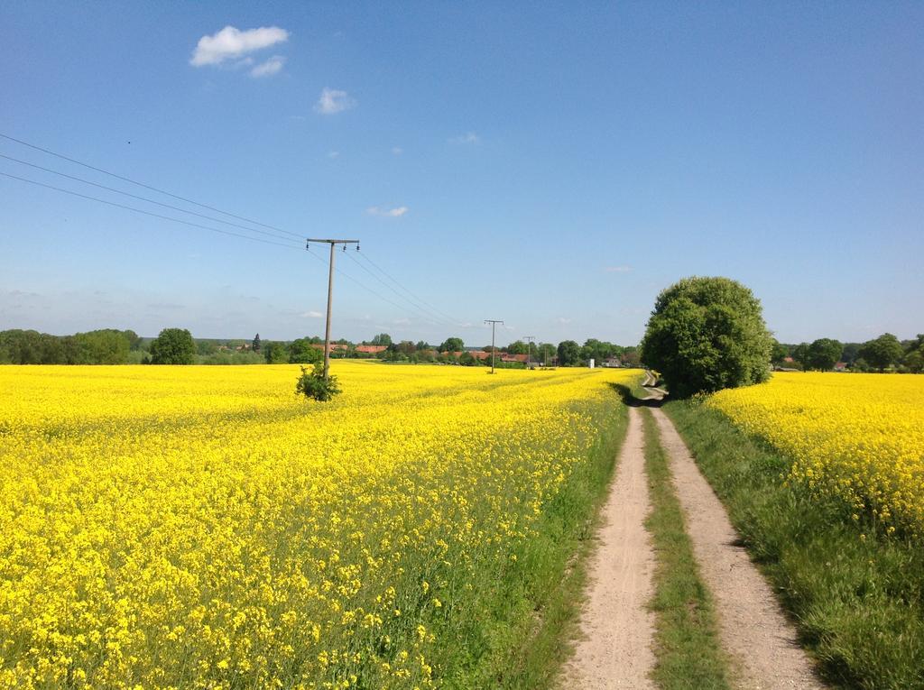 Landpension Zum Kleinen Urlaub Wredenhagen Екстер'єр фото